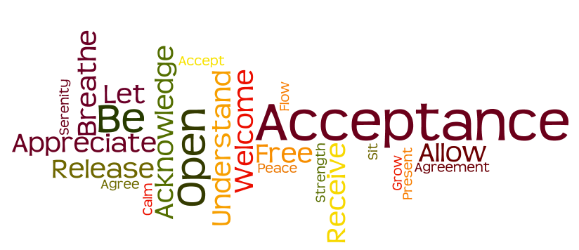 Acceptance word cloud