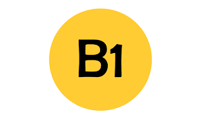 Level B1