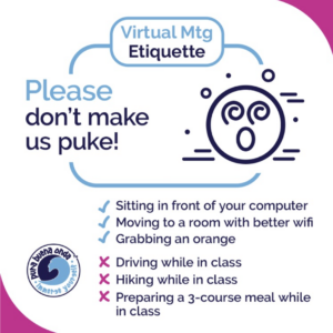 Virtual etiquette 8. How to not be annoying in a virtual class