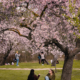 Spanish homework: is technology helping or hurting us?, for the week from march 23 to march 29, 2026