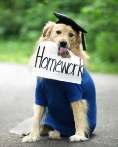 Spanish homework: advice & recommendations, for the week from July 20 to July 26, 2026
