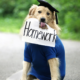 Spanish homework: advice & recommendations, for the week from July 20 to July 26, 2026