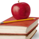 Spanish homework: one recipe in spanish, for the week from august 31 to september 6, 2026