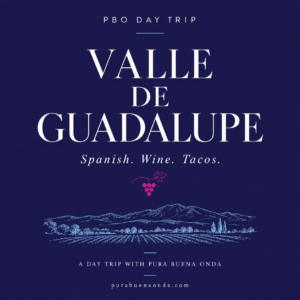 Valle de Guadalupe Day Trip: Spanish Social Club Event in San Diego